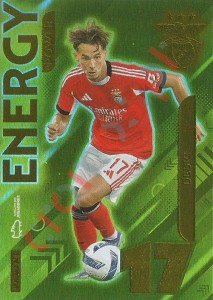 P204 Dedic – Ídolos do Futebol Português 2025-2026 Panini