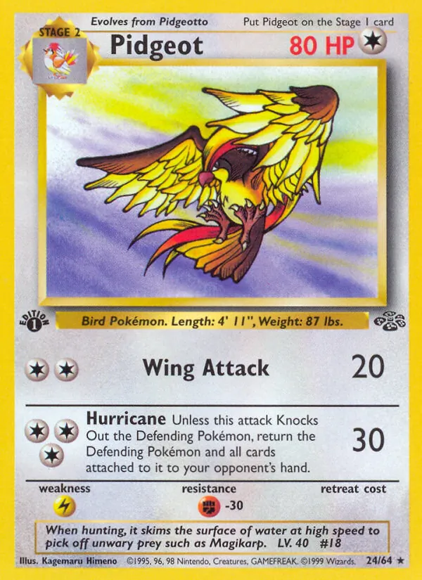 24-1ED Pidgeot – Jungle