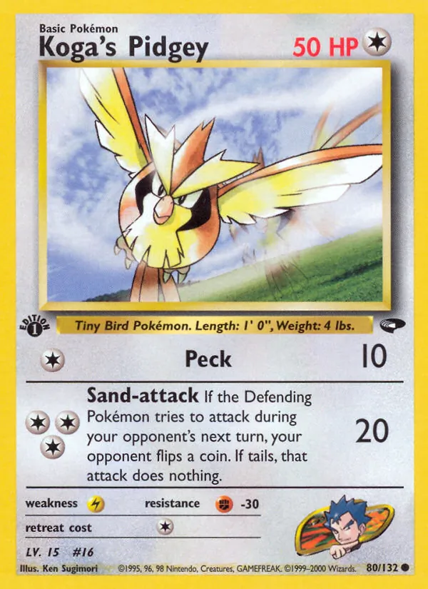 80 Koga's Pidgey – Gym Challenge