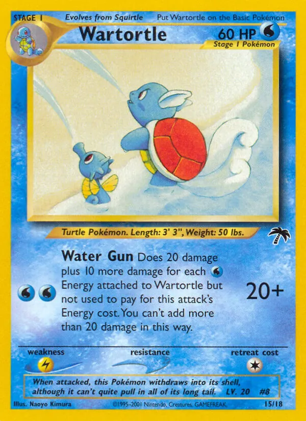 15 Wartortle – Southern Islands