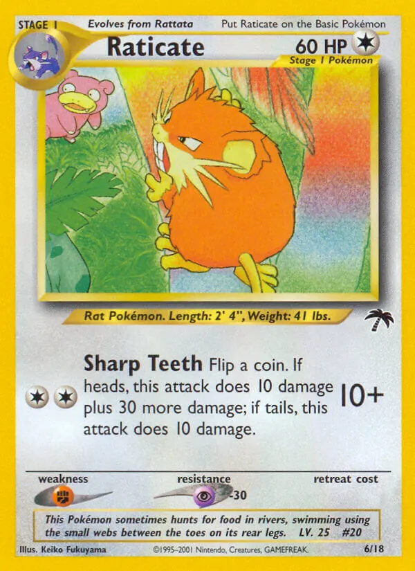 6 Raticate – Southern Islands