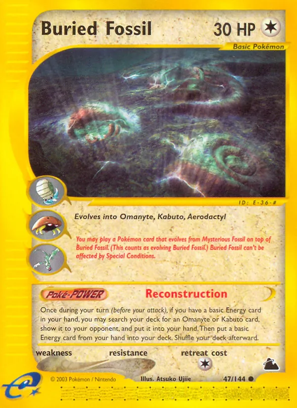 47-RH Buried Fossil – Skyridge