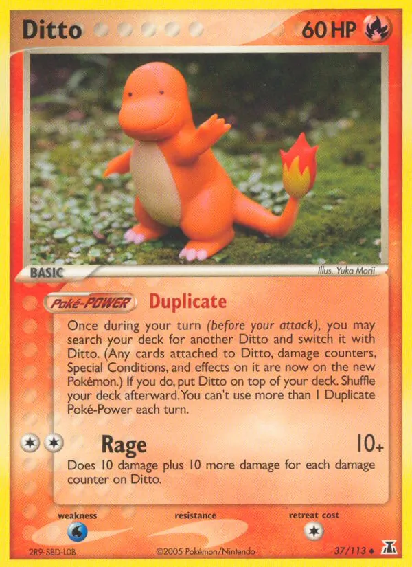 37 Ditto – Delta Species