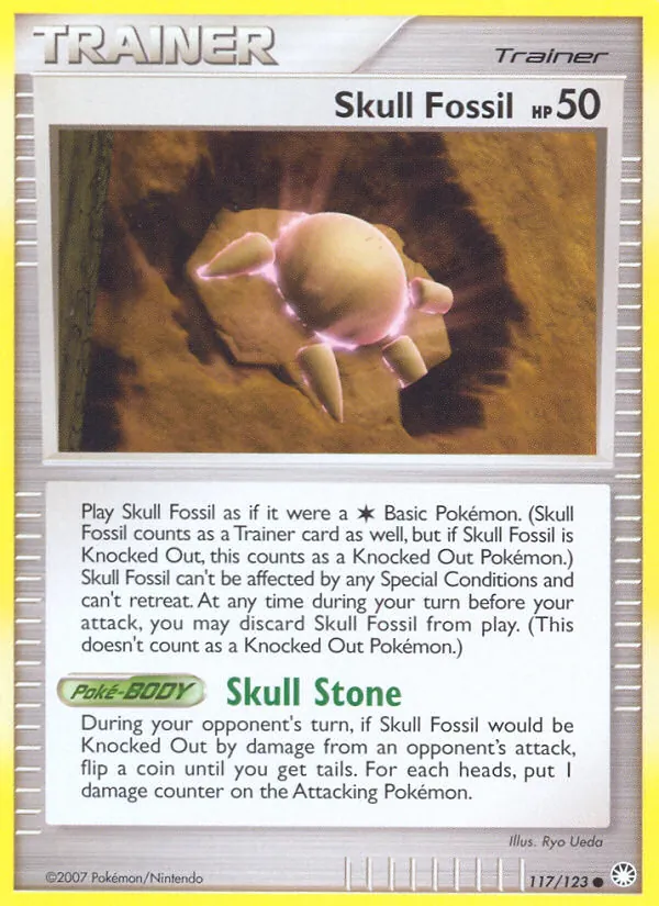 117 Skull Fossil – Mysterious Treasures