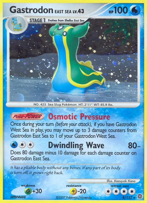 8 Gastrodon East Sea – Secret Wonders