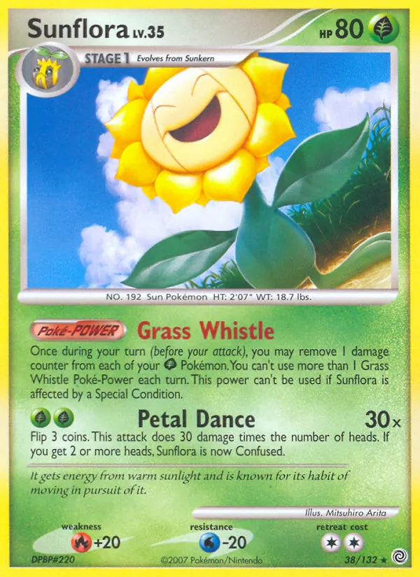 38-RH Sunflora – Secret Wonders