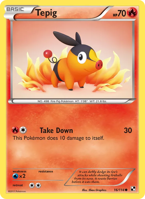 16 Tepig – Black & White