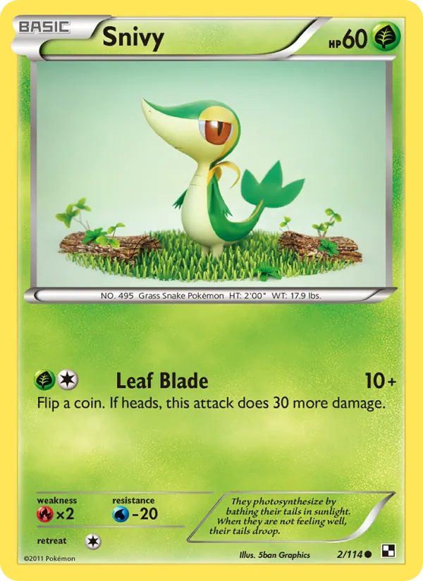 2 Snivy – Black & White