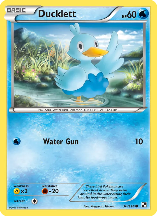 36 Ducklett – Black & White
