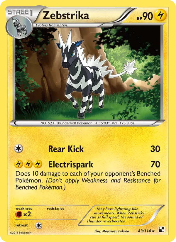 43 Zebstrika – Black & White