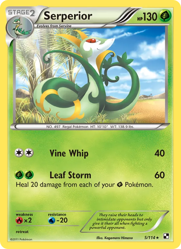 5 Serperior – Black & White