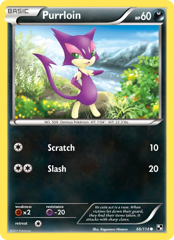 66 Purrloin – Black & White