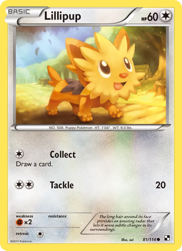 81 Lillipup – Black & White