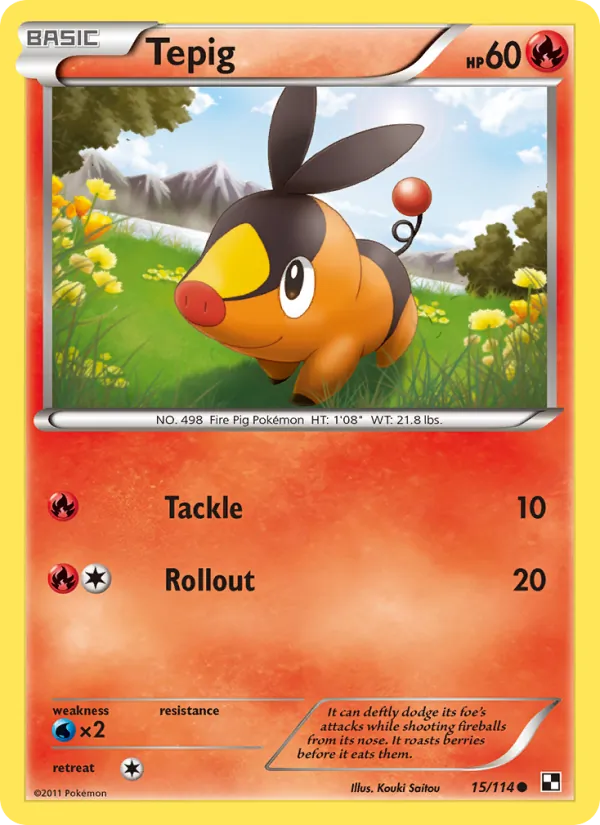 15-RH Tepig – Black & White