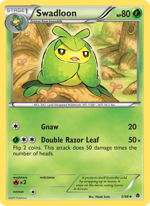 5 Swadloon – Emerging Powers