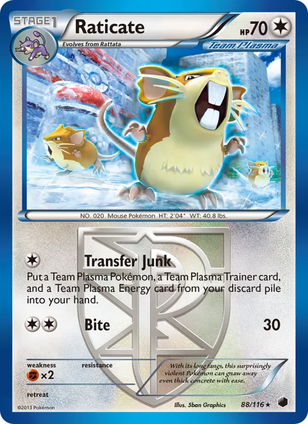 88-RH Raticate – Plasma Freeze