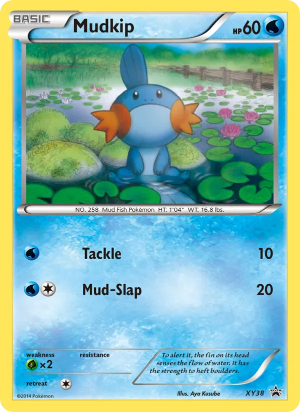 XY38 Mudkip – XY Black Star Promos
