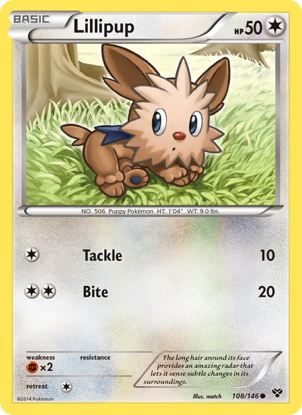 108 Lillipup – XY
