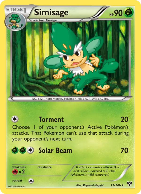 11 Simisage – XY