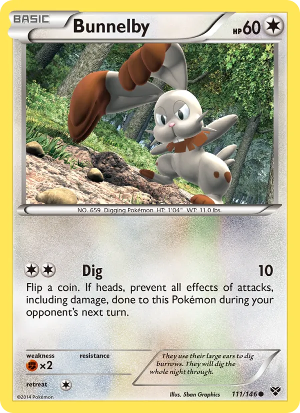 111 Bunnelby – XY