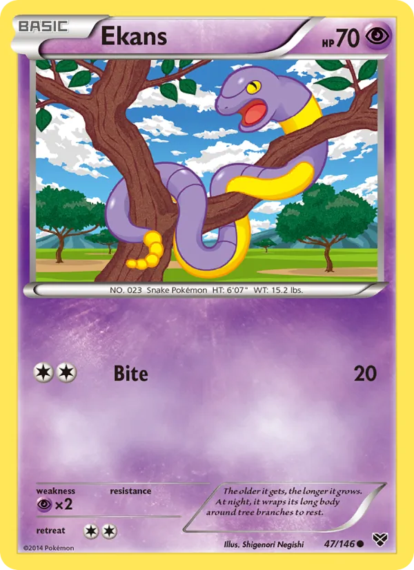 47 Ekans – XY