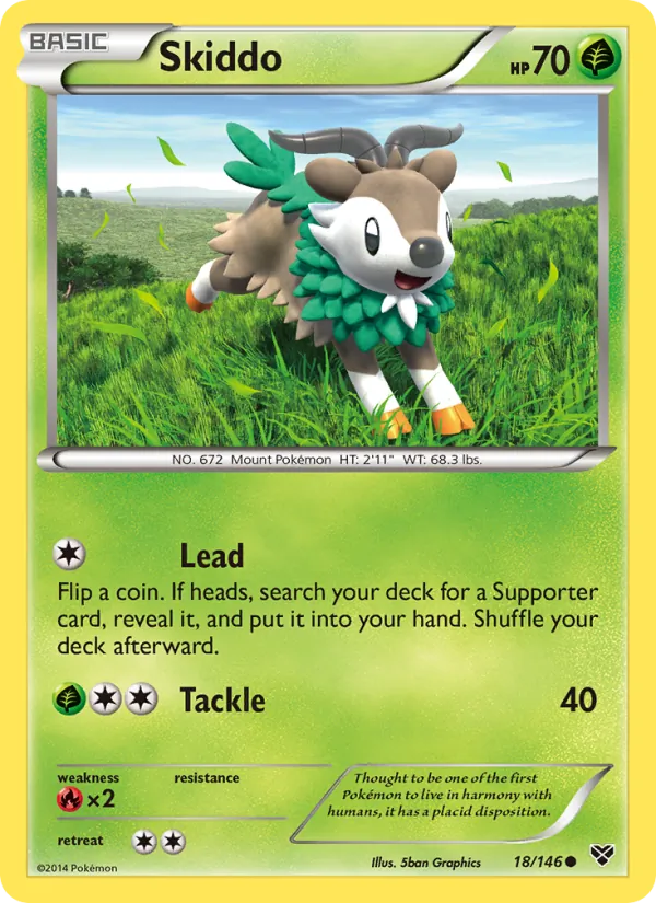 18-RH Skiddo – XY