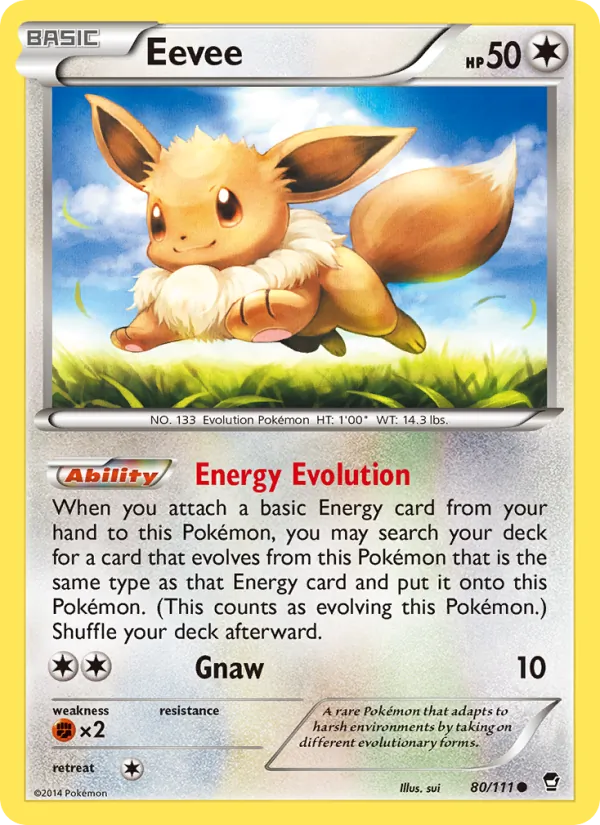 80 Eevee – Furious Fists