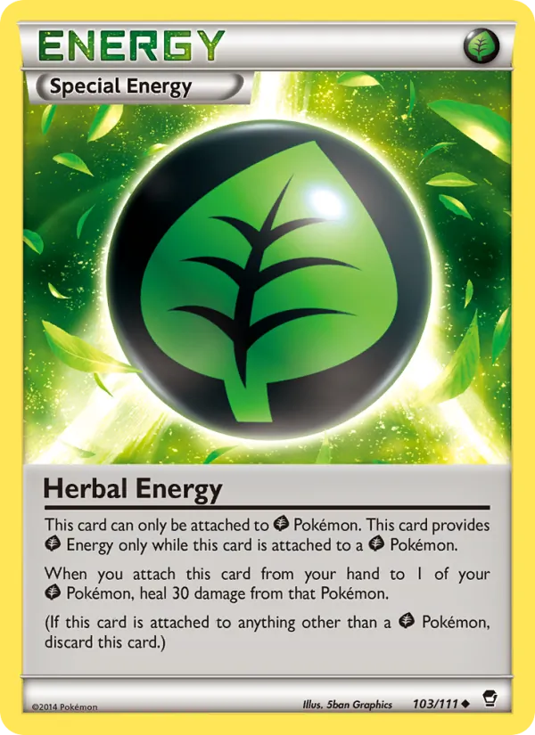 103-RH Herbal Energy – Furious Fists