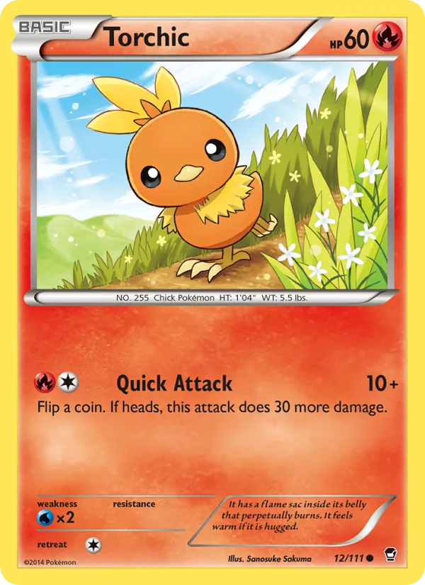 12-RH Torchic – Furious Fists