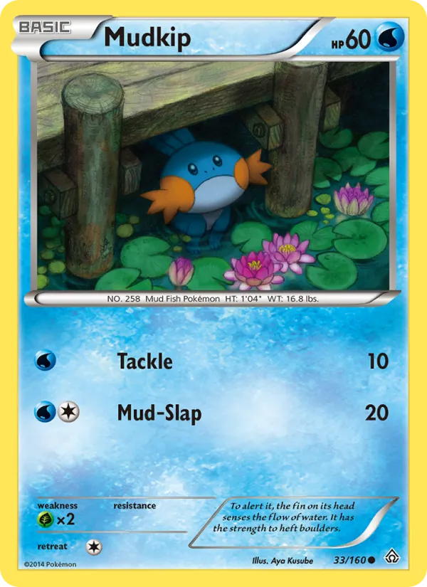 33-RH Mudkip – Primal Clash