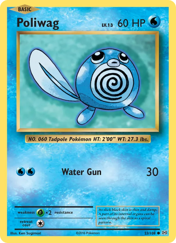 23-RH Poliwag – Evolutions