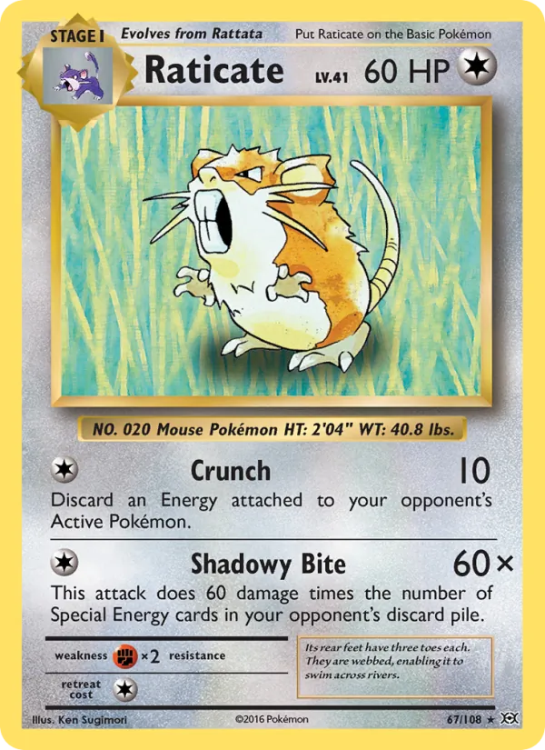 67-RH Raticate – Evolutions