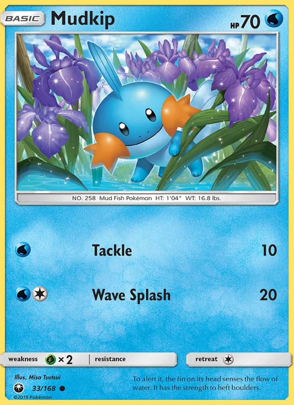 33 Mudkip – Celestial Storm