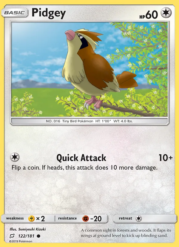 122 Pidgey – Team Up
