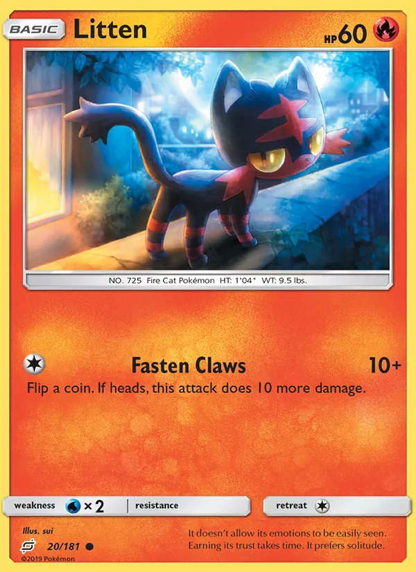 20 Litten – Team Up