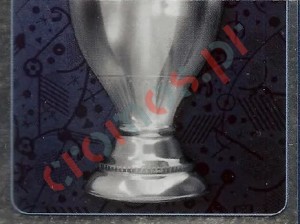 6 Trophy
2 – UEFA Euro France 2016 Panini
