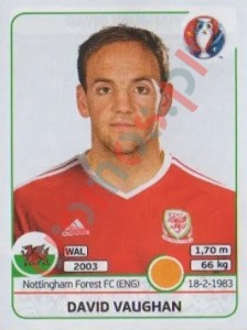 189 David Vaughan – UEFA Euro France 2016 Panini
