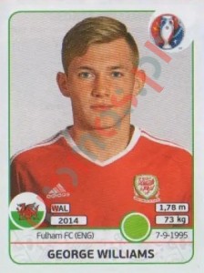 196 George Williams – UEFA Euro France 2016 Panini