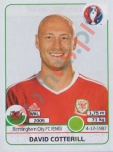 197 David Cotterill – UEFA Euro France 2016 Panini