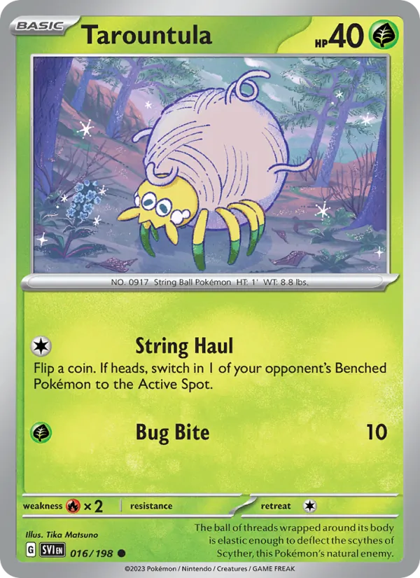 016-RH Tarountula – Scarlet & Violet