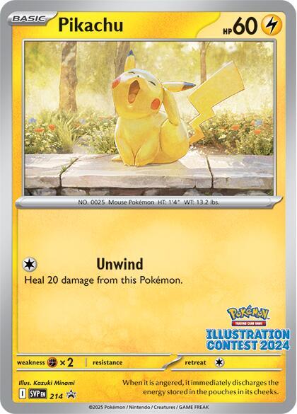 214 Pikachu – SVP Black Star Promos