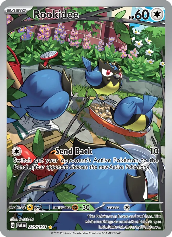 225 Rookidee – Paldea Evolved