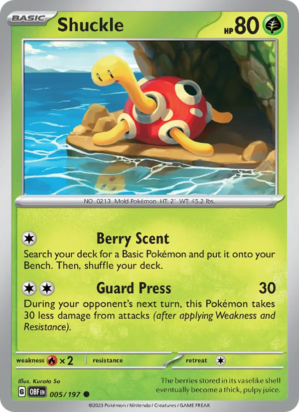 005-RH Shuckle – Obsidian Flames