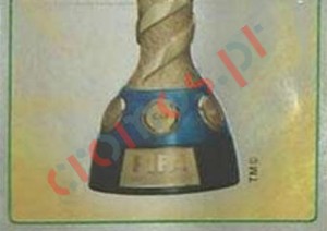 240 Cup
2 – FIFA Confederations Cup Brazil 2013 Panini