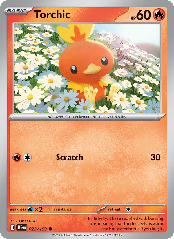 022-RH Torchic – Journey Together