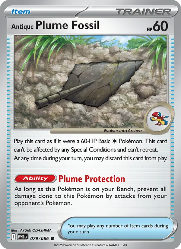 079 Antique Plume Fossil – White Flare
