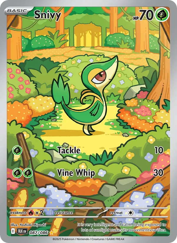 087 Snivy – Black Bolt