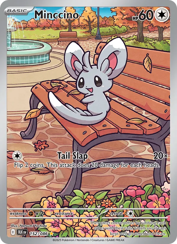 152 Minccino – Black Bolt