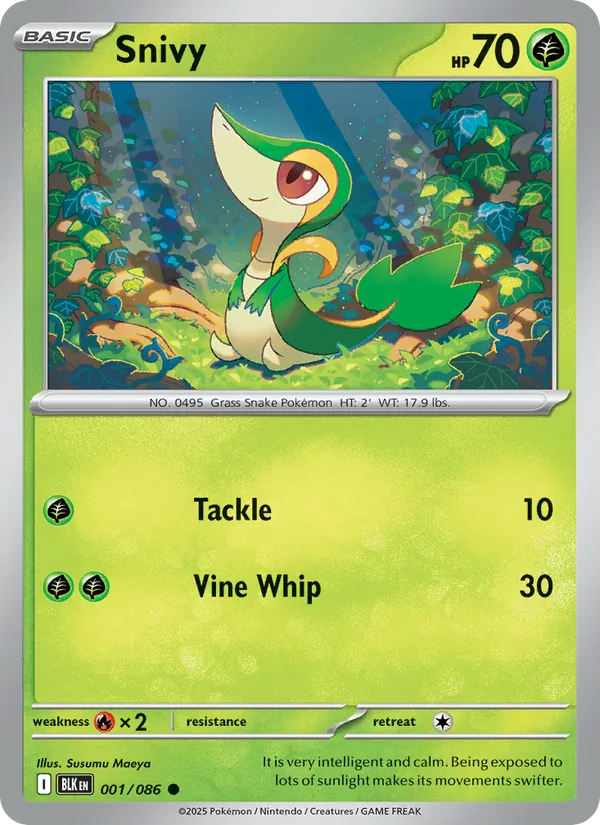 001 Snivy – Black Bolt