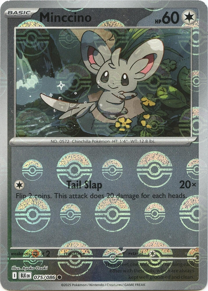 075-PB Minccino – Black Bolt
